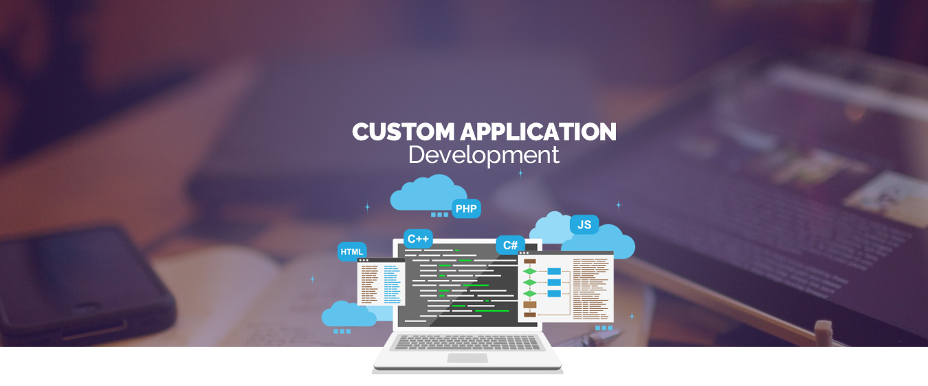 Custom Software Development Services Company in Hyderabad India